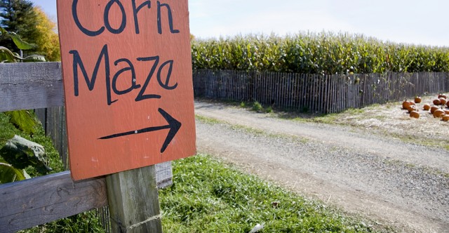 Miles Of Mazes: Find Fall Adventure In Farm Country